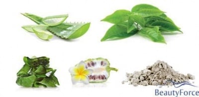 Chlorella Vulgaris - зелени микроводорасли