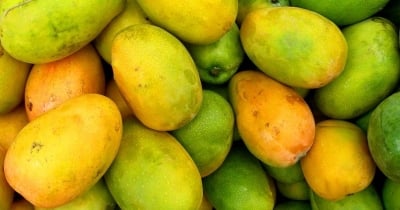 Масло от Диво Манго