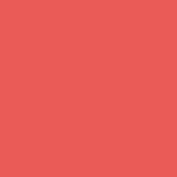 Червило за устни Lip Color Цвят № 114